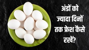 eggs । How to store eggs । How to keep eggs fresh
