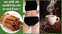 क्या कॉफी के साथ दालचीनी का सेवन वजन कंट्रोल करता है? रिसर्च से जानिए क्या है इस मसाले की सच्चाई