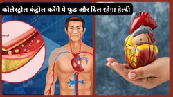खराब कोलेस्ट्रॉल धड़कनों की रफ्तार को कर सकता है धीमा, इन 10 फूड्स से बढ़ा लीजिए दिल की क्षमता, LDL Cholesterol का हो जाएगा सफाया
