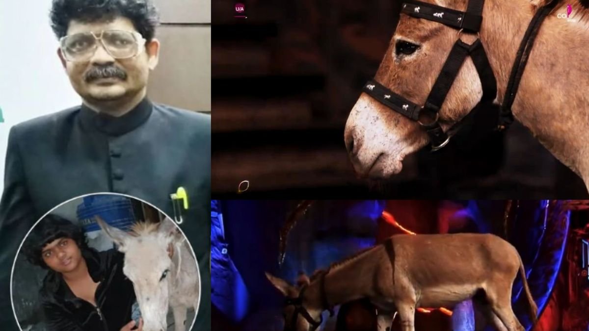 Gunaratna Sadavarte, Bigg Boss 18