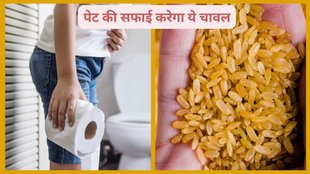 Sama rice, sama grain, barnyard millets, samak, benefits of sama,Sama Rice Benefits,navratri 2024,vrat recipes,navratri,fast recipes,fast recipes for dinner