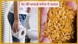 Navratri 2024: नवरात्रि में इस चावल को खाने से निकल जाएगी पेट की सारी गंदगी, शुगर पर लगेगा ब्रेक और मिलेगी भरपूर ताकत, ये हैं 4 फायदे