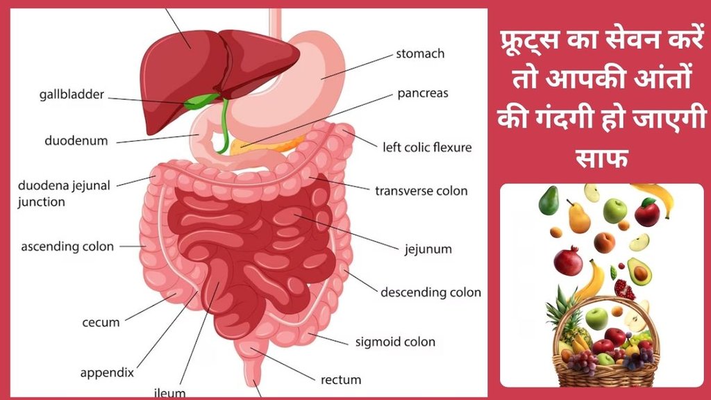 How can I fix my gut at home, How can I reduce my gut problems, What foods to avoid if you have a gut problem, Gut Health, digestion, gut bacteria,Intestine health, best fruits for Intestine health, healthy stomach, digestive system, Health, Lifestyle, what is gut bacteria, what is gut health,