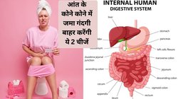 पुरानी से पुरानी कब्ज का तोड़ हैं ये 2 चीजें, सोने से पहले चबा-चबा कर खाएं, सुबह उठते ही पेट की गंदगी हो जाएगी साफ