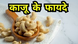 Cashews Benefits: मोटापा, पाचन और कोलेस्ट्रॉल कंट्रोल करता है काजू, खाली पेट खाने के ये हैं फायदे