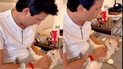 बिल्ली से बात करते कुमार विश्वास का Video Viral, बच्चे की तरह कर रहे दुलार, संस्कृत का श्लोक लिखकर कही बड़ी बात, देखें