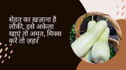 सेहत के लिए अमृत है लौकी, इन 2 चीजों के साथ कॉम्बिनेशन करके खाएंगे तो ज़हर की तरह करेगी असर, जानिए कैसे