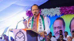 जानें कौन हैं वो दो मुस्लिम उम्मीदवार, जिन पर अजित पवार की पार्टी NCP ने लगाया दांव