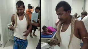 snake, snake bite man, Viral Video