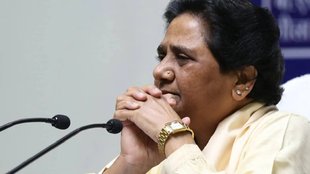 mayawati, BSP Chief