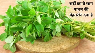 Fenugreek Leaves,Fenugreek Leaves hindi,Benefits Of Fenugreek Leave,Methi,methi benefits,methi benefits in hindi,methi for health,Methi For Winter,Winter Special Methi,Winter Methi Vegatable,winter special,Winter Special Sabji,Winter Special Saag