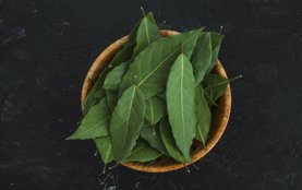 Neem leaves should be eaten in these 10 diseases