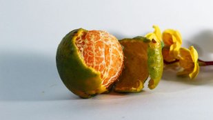 orange peel face pack
