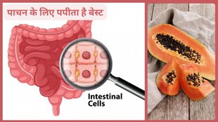 papaya health benefits,Reasons Why Papaya Is So Good For You,papaya can Improves Digestion,papaya Helps In Weight Loss, Fights Cancer,Papaya is rich in vitamin C, papaya nutrition value,