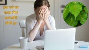 acharya balkrishna, skin problem, acharya balkrishna weight loss, peepal ke fayde, peepal tree leaves benefits, peepal ke patte ke upay, peepal khane ke fayde,