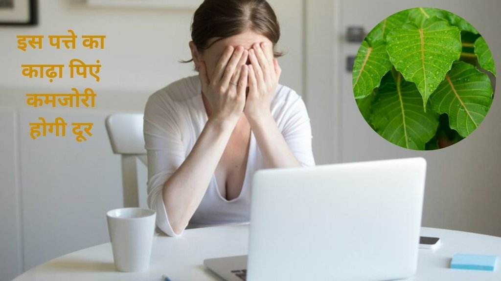 acharya balkrishna, skin problem, acharya balkrishna weight loss, peepal ke fayde, peepal tree leaves benefits, peepal ke patte ke upay, peepal khane ke fayde,