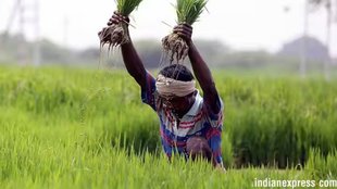 pm kisan, pm kisan yojana, Pm kisan Samman nidhi