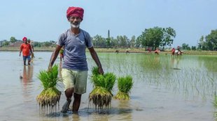 pm kisan yojana | farmers income |