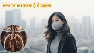 प्रदूषण से कैसे बचें, HOW TO PREVENT POLLUTION, HOW TO PREVENT INDOOR POLLUTION, प्रदूषण से बचने के उपाय, HOW TO PREVENT POLLUTION, HOW TO AVOID POLLUTION,