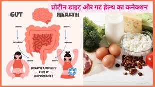 Healthy Diet, Food with protein, Protein-rich food, lifestyle, Salmon, Lean proteins, प्रोटीन डाइट,पाचन ठीक रखने के लिए कैसे फूड का करें सेवन,प्रोटीन डाइट कैसे गट हेल्थ करती है दुरुस्त,