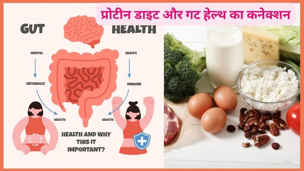 Healthy Diet, Food with protein, Protein-rich food, lifestyle, Salmon, Lean proteins, प्रोटीन डाइट,पाचन ठीक रखने के लिए कैसे फूड का करें सेवन,प्रोटीन डाइट कैसे गट हेल्थ करती है दुरुस्त,