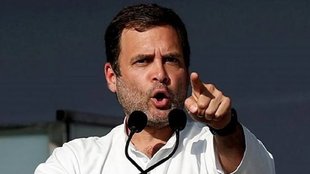 rahul gandhi, Congress