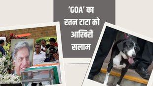 ratan tata dog| ratan tata death| ratan tata