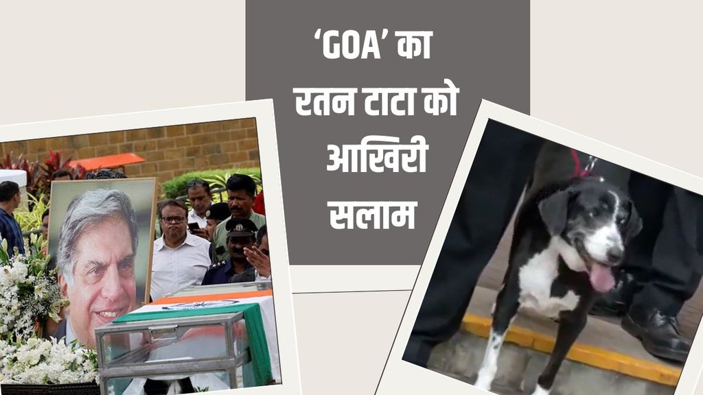 ratan tata dog| ratan tata death| ratan tata
