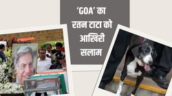 Ratan Tata Death: मालिक के अंतिम दर्शन के लिए पहुंचा रतन टाटा का कुत्ता ‘गोवा’, नाम के पीछे है यह कहानी