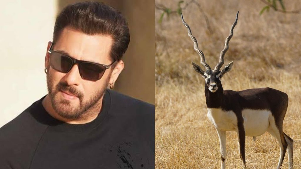 Salman khan Salman khan