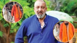 65 साल की उम्र में संजय दत्त ने चौथी बार की शादी, वायरल हो रहा फेरे लेते वक्त का वीडियो, जानें पूरा मामला