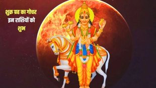 Venus Transit In Dhanu, Venus Transit 2024