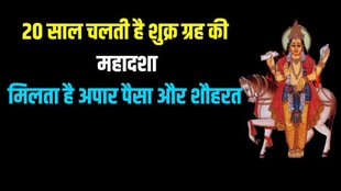 Shukra Mahadasha, venus mahadasha effect