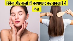 Morning Mantra: रोज सुबह खाली पेट खा लें ये फल, कुछ ही दिनों में चमक उठेगी स्किन, हेयर ग्रोथ को भी मिलेगा बढ़ावा