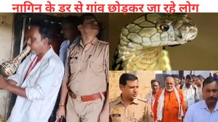 nagin revenge hapur snake, hapur snake terror news