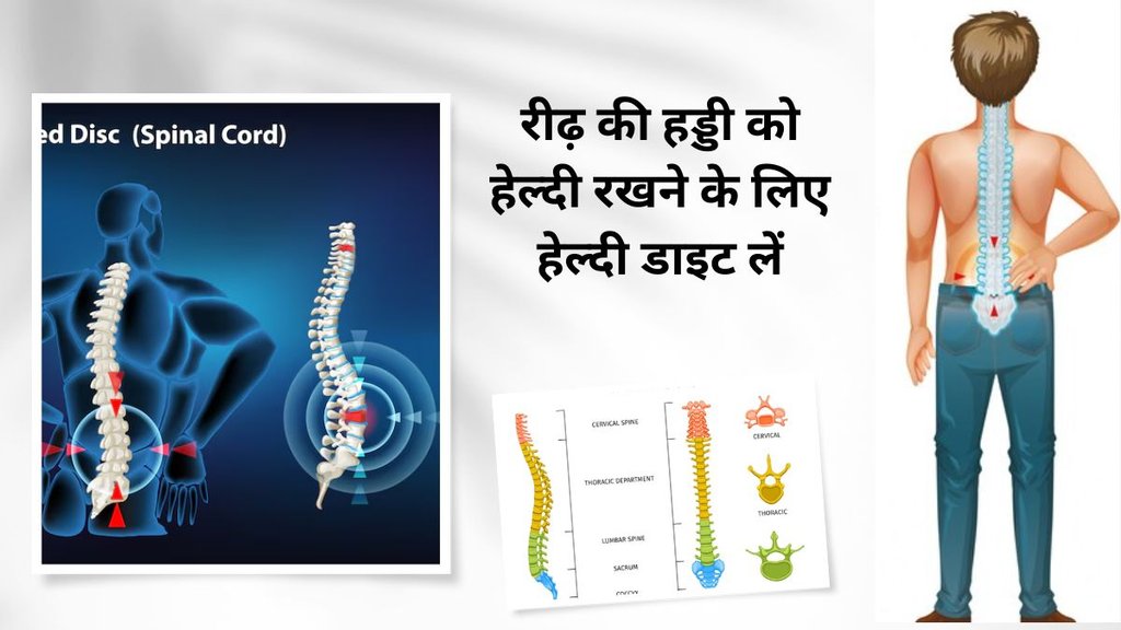 spinal cord injury, spinal cord injury recovery, spinal cord paralysis, spinal cord injury treatment, spinal cord paralysis recovery, spinal cord paralysis treatment