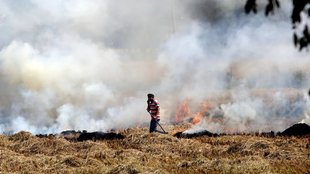 stubble, Stubble smoke
