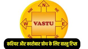 vastu shastra for office, vastu tips for career growth, vastu tips for work place