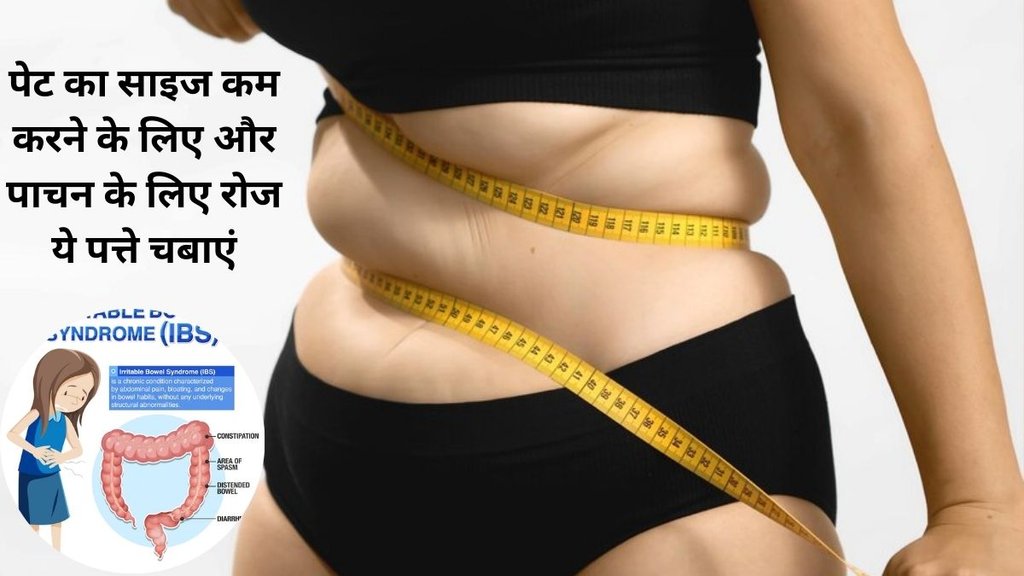 Curry Leaves for weight loss, Curry Leaves for improve digestion, Lifestyle,Curry Leaves,Curry patte,Curry Leaves Benefits And Uses ,curry leaves for weight loss,curry leaves for cholesterol