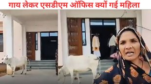 SDM, SDM Cow Viral Video, Cow offered in exchange for bribe