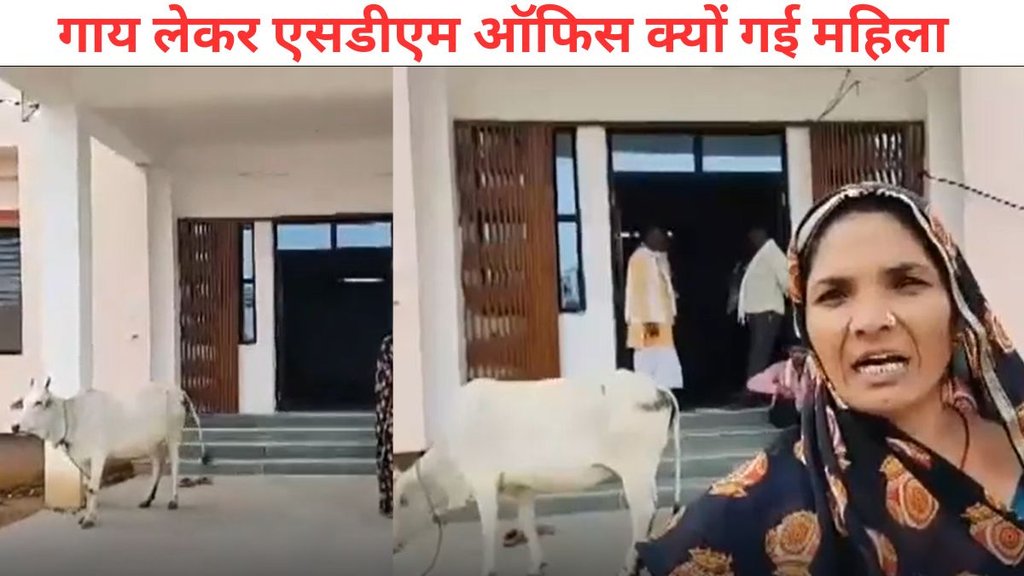 SDM, SDM Cow Viral Video, Cow offered in exchange for bribe