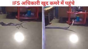 snakes bedroom video viral, viral video