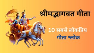 Popular Bhagwat Geeta Shlok In Hindi, Popular Bhagwat Geeta Shlok, Geeta Shlok In Hindi, Top 10 Gita Shlokas, List of Top 10 Gita Shlok