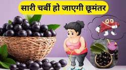 इस एक छोटे से फल से हो सकता है वजन कम, बस ऐसे करना होगा सेवन, हार्ट-पाचन और कोलेस्ट्रॉल भी रहेगा कंट्रोल
