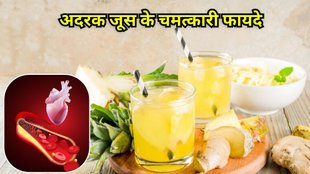 Adrak Juice Ke Fayde: अदरक जूस के फायदे