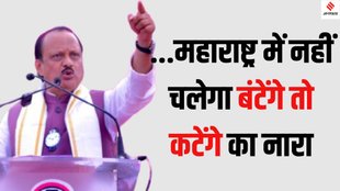 Ajit Pawar OBC support Maharashtra 2024, Ajit Pawar Mahayuti OBC voters,