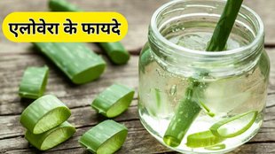 Aloe Vera Ke Fayde: एलोवेरा के फायदे