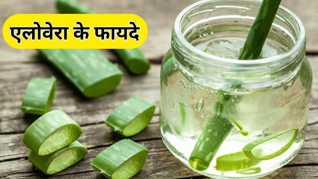 Aloe Vera Ke Fayde: एलोवेरा के फायदे