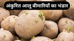 Aloo ke nuksan अंकुरित आलू से होती हैं ये बीमारी