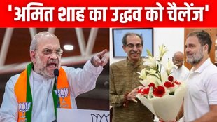 Maharashtra Vidhan Sabha Chunav, maharshtra elections, maharashtra assembly elections, maharashtra news, rahul gandhi, amit shah, uddhav thackeray, mva,